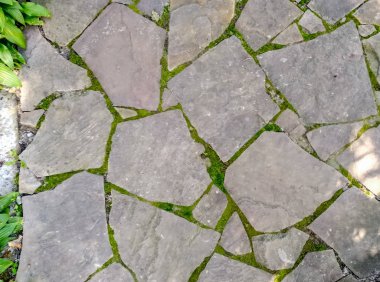 Taş zemin, Taş Duvar Büyük Granit Parke Taşı Close-Up gönderen. Dikişler arasında büyüyen yeşil yosun