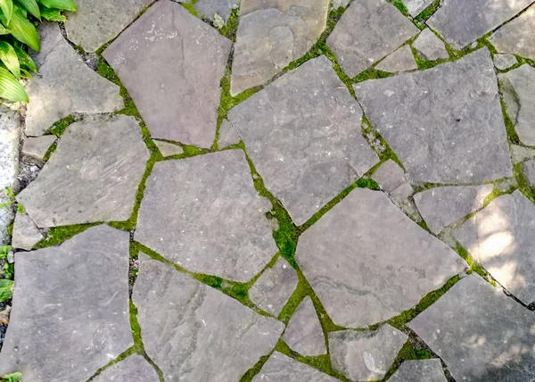 Sol en pierre, mur en pierre d'un gros plan en granit pavé. Cultiver la mousse verte entre les coutures — Photo