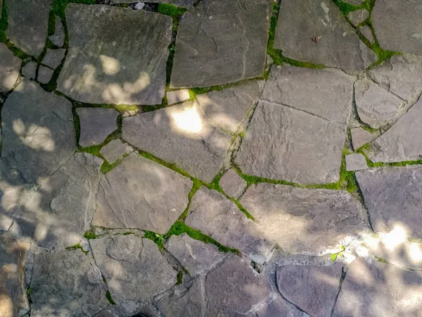 Piso de piedra, pared de piedra de un gran granito Cobblestone Close-Up. Crecimiento de musgo verde entre las costuras —  Fotos de Stock