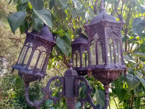 Old broken vintage street lamp stands on a green wood background