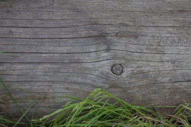 Tahta lar yakın çekim, çimlere giriş yap. Ormanda ahşap masa ve bank. Arka plan ve doku olarak ahşap