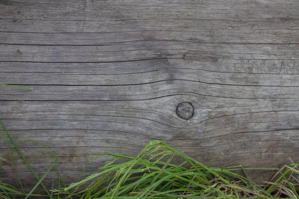 Dřevěné klády jsou v těsné blízkosti, v trávě. Dřevěný stůl a lavička v lese. Dřevo jako pozadí a textura — Stock fotografie