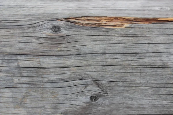 Grumes en bois gros plan, connectez-vous dans l'herbe. Table et banc en bois dans la forêt. Le bois comme fond et texture — Photo