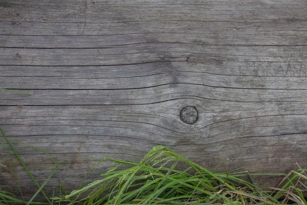 Holzstämme aus nächster Nähe, Holzstämme im Gras. Holztisch und Bank im Wald. Holz als Hintergrund und Struktur — Stockfoto