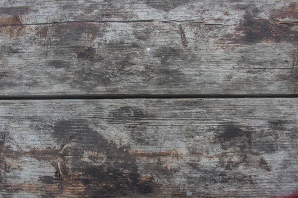 Grumes en bois gros plan, connectez-vous dans l'herbe. Table et banc en bois dans la forêt. Le bois comme fond et texture — Photo