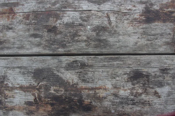 Grumes en bois gros plan, connectez-vous dans l'herbe. Table et banc en bois dans la forêt. Le bois comme fond et texture — Photo