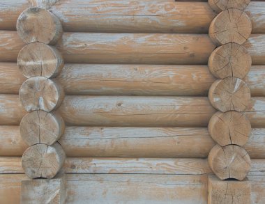 Tahta lar yakın çekim, çimlere giriş yap. Ormanda ahşap masa ve bank. Arka plan ve doku olarak ahşap