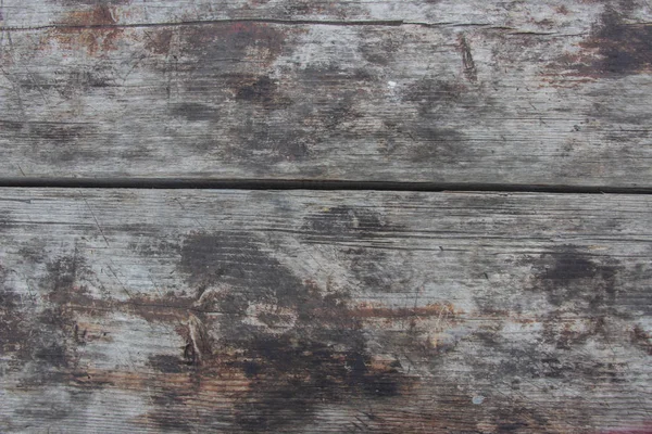 Grumes en bois gros plan, connectez-vous dans l'herbe. Table et banc en bois dans la forêt. Le bois comme fond et texture — Photo