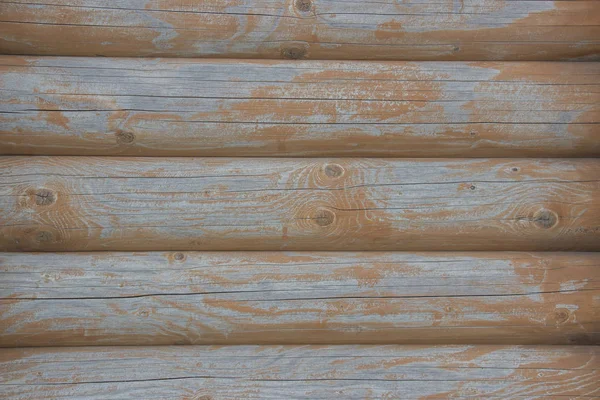 Wooden logs close-up, log in the grass. Wooden table and bench in the forest. Wood as background and texture — Stock Photo, Image