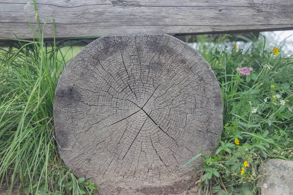 Grumes en bois gros plan, connectez-vous dans l'herbe. Table et banc en bois dans la forêt. Le bois comme fond et texture — Photo