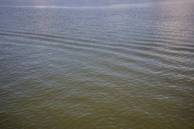 Dinyeper 'da yeşil su. Çöpler nehirde yüzüyor. Doku gibi arkaplan