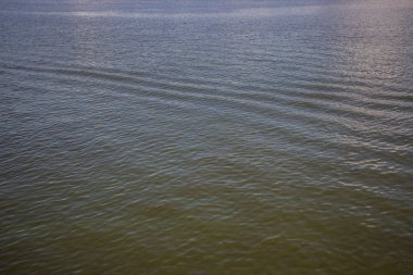 Dinyeper 'da yeşil su. Çöpler nehirde yüzüyor. Doku gibi arkaplan