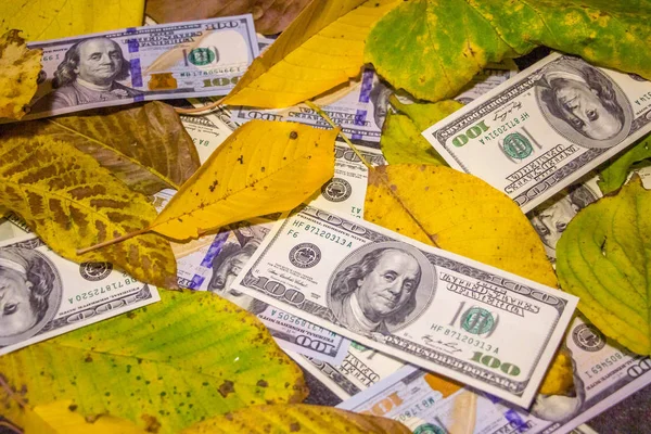 Sarı Sonbahar Yapraklarına Dağılmış Yüz Dolarlık Banknotlar Yakın Plan Doku — Stok fotoğraf