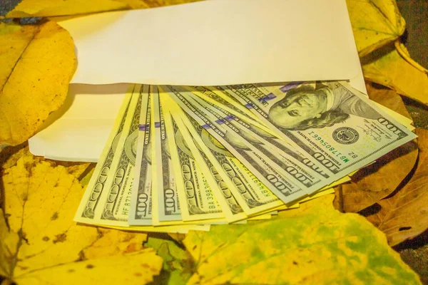 Notas Cem Dólares Num Envelope Perdido Folhas Amarelas Close Fundo — Fotografia de Stock