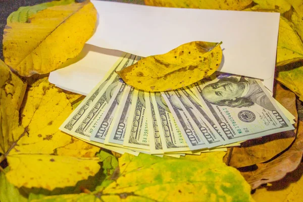 Sarı Yaprakların Içinde Kaybolan Bir Zarfın Içinde Yüz Dolarlık Banknotlar — Stok fotoğraf