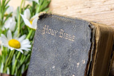 Eski İncil, biberiye, yabani çiçekler, basit zamanların basit görüntüsü, sert ahşap üzerinde duran eski bir İncil biberiye ve kır çiçekleri.