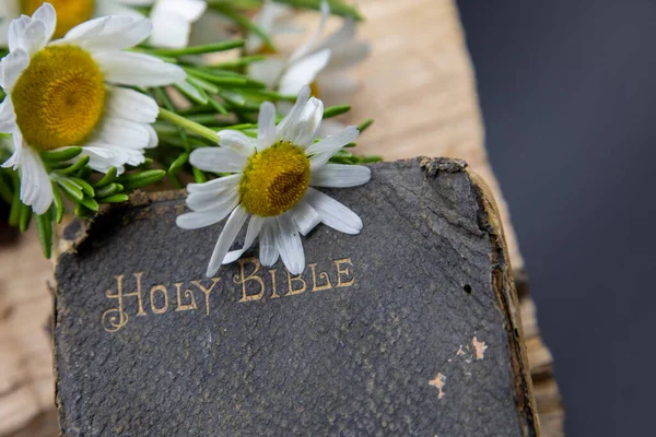 Old Bible, rosemary, wild flowers, simple image of simple times, a well used old bible resting on rough wood with a sprig of rosemary and wildflowers