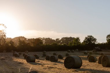 Hay Hasat Haziran 2020 İngiliz kırmızı traktörü