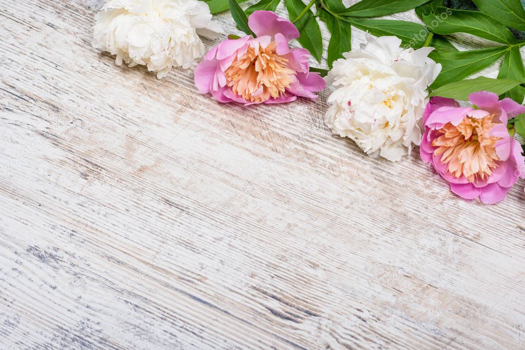 White and pink peonies with green leaves lying on top of a textured old antique wooden background, for a billboard, website, Flatlay, copyspace