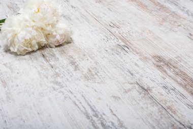 Beyaz peonies yalanlar üzerine bir eski hafif ahşap masa, flatlay, boşaltmak bir buket
