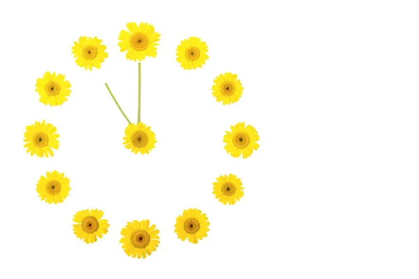 Eine Blumenuhr Aus Gelben Gänseblümchen Die Die Zeit Anzeigt Ist — Stockfoto