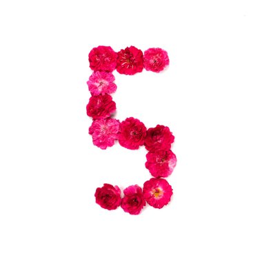 sayısı 5'ten bir kırmızı ve Pembe çiçeklerden gül beyaz zemin üzerinde. Tasarım için tipografik öğe. Numaraları çiçek, tarih, izole, izole