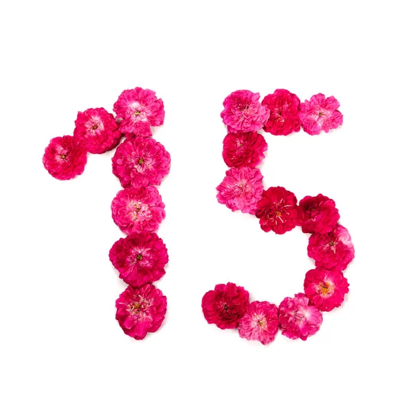Numéro Fleurs Une Rose Rouge Rose Sur Fond Blanc Élément — Photo
