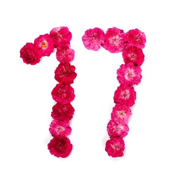 Číslo Květů Červené Růžové Růže Bílém Podkladě Typografické Prvek Pro — Stock fotografie
