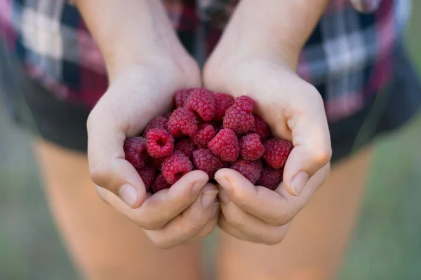 Fresh Ripe Raspberries Palms Folded Heart Summer Food Vitamins Summer — Stock Photo, Image