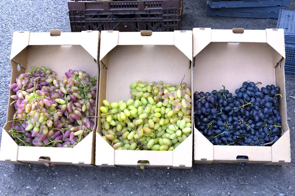 Спелые Зеленые Гроздья Винограда Приготовления Вина Пищи Упаковываются Картонные Квадратные — стоковое фото