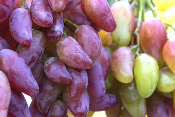 Venda Uvas Uvas Azuis Uvas Brancas Uvas Rosa Close — Fotografia de Stock