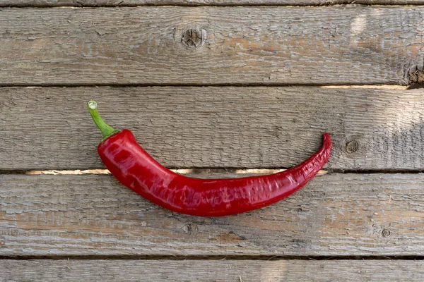 One red bitter, hot pepper, lies on a wooden background of boards, close-up, top view. Copy space, flatly