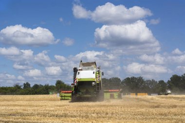 birleştirme-hasat alanında tahıl ürünleri, çavdar, buğday hasat toplamak için