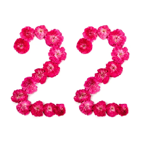 Номер Двадцать Два Цветов Красной Розовой Розы Белом Фоне Типографический — стоковое фото