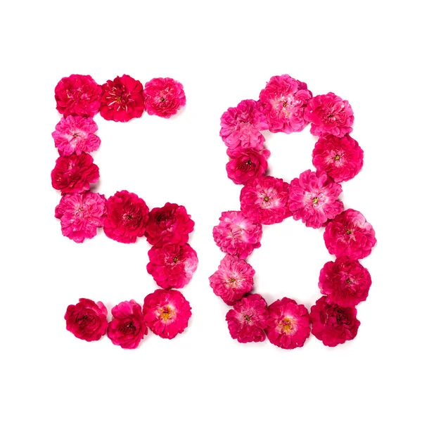 Number Flowers Red Pink Rose White Background Typographical Element Design — Stock Photo, Image