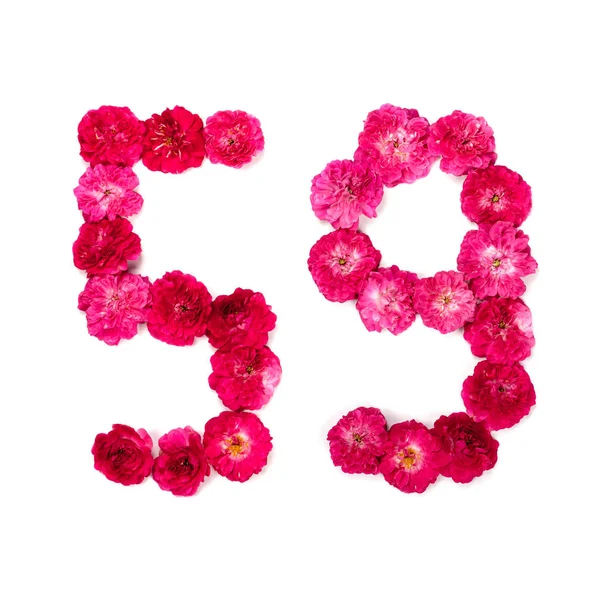 Numero Fiori Una Rosa Rossa Rosa Uno Sfondo Bianco Elemento — Foto Stock