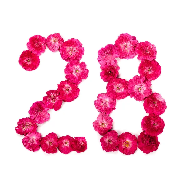 Number Flowers Red Pink Rose White Background Typographical Element Design — Stock Photo, Image