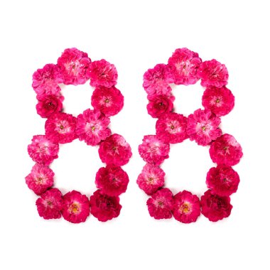 numara bir kırmızı ve Pembe çiçeklerden 88 gül beyaz zemin üzerinde. Tasarım için tipografik öğe. Numaraları çiçek, tarih, izole, izole