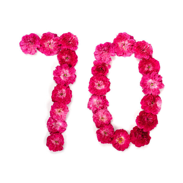 number from 70 flowers of a red and pink rose on a white background. Typographical element for design. Flower numbers, date, isolate, isolated