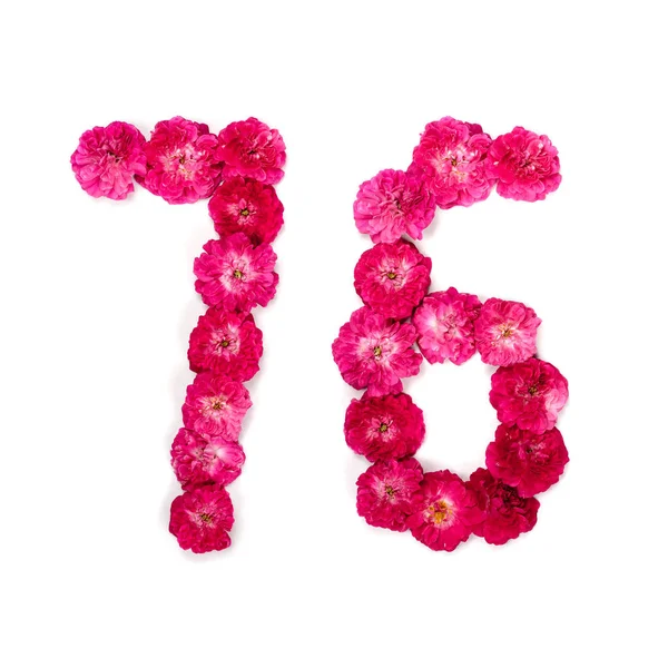 76从红色和粉红色的玫瑰在白色背景上的花 用于设计的排版元素 花数字 — 图库照片