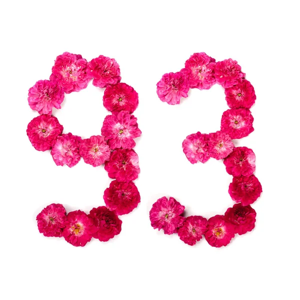 Número Las Flores Rosa Roja Rosada Sobre Fondo Blanco Elemento —  Fotos de Stock