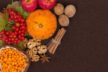 Sonbaharın vitaminler. Çilek ve kahverengi kumaş arka plan, üstten görünüm üzerinde kartopu, Deniz topalak, kabak, ceviz, kırmızı elma, tarçın ve anason yaprak. Kopya kaydet, duygusuzca