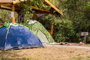 İki çadır, haki ve mavi, açık ahşap çardak ormandaki yakınındaki çimenlerin üzerinde dur. Gecede ve açık rekreasyon.