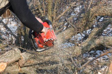 Testere ahşap testere kesim