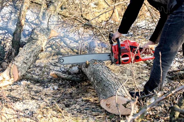 Sierra Cadena Madera Cortada — Foto de Stock