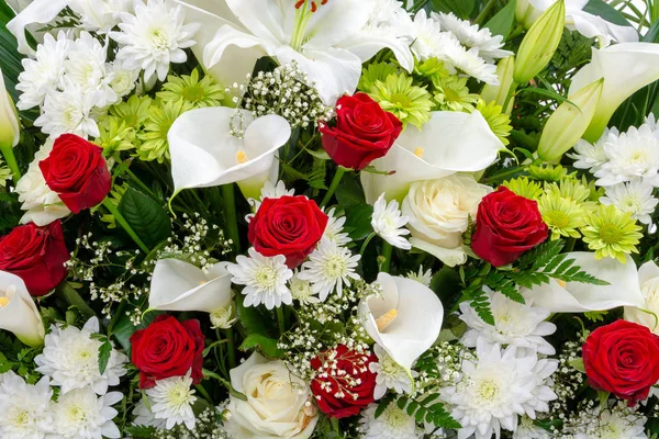 美しい花の背景 赤と白の花クローズアップ 白と緑の菊 赤いバラ ジプシーとカラ — ストック写真