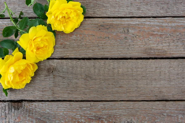 Rosas Amarillas Primer Plano Sobre Fondo Viejo Texturizado Tableros Madera — Foto de Stock