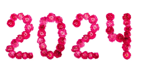 Inscription 2024 Fresh Pink Red Pink Flowers White Background Isolate — Stock Photo, Image