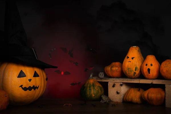 A pumpkin in a black hat. Halloween background. Pumpkins, mice, spiders, toad on a dark background, space for text, Copy space.