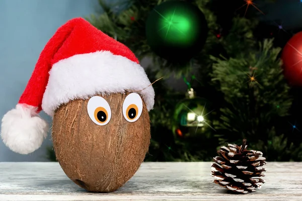 Nový Rok Vánoční Koncepční Zázemí Kokosový Klobouk Klobouku Santa Clause — Stock fotografie